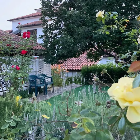 Duli * Novigrad Istria